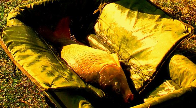 Moara Vlasiei 2 6 - 6 oct. - dsc02718.JPG